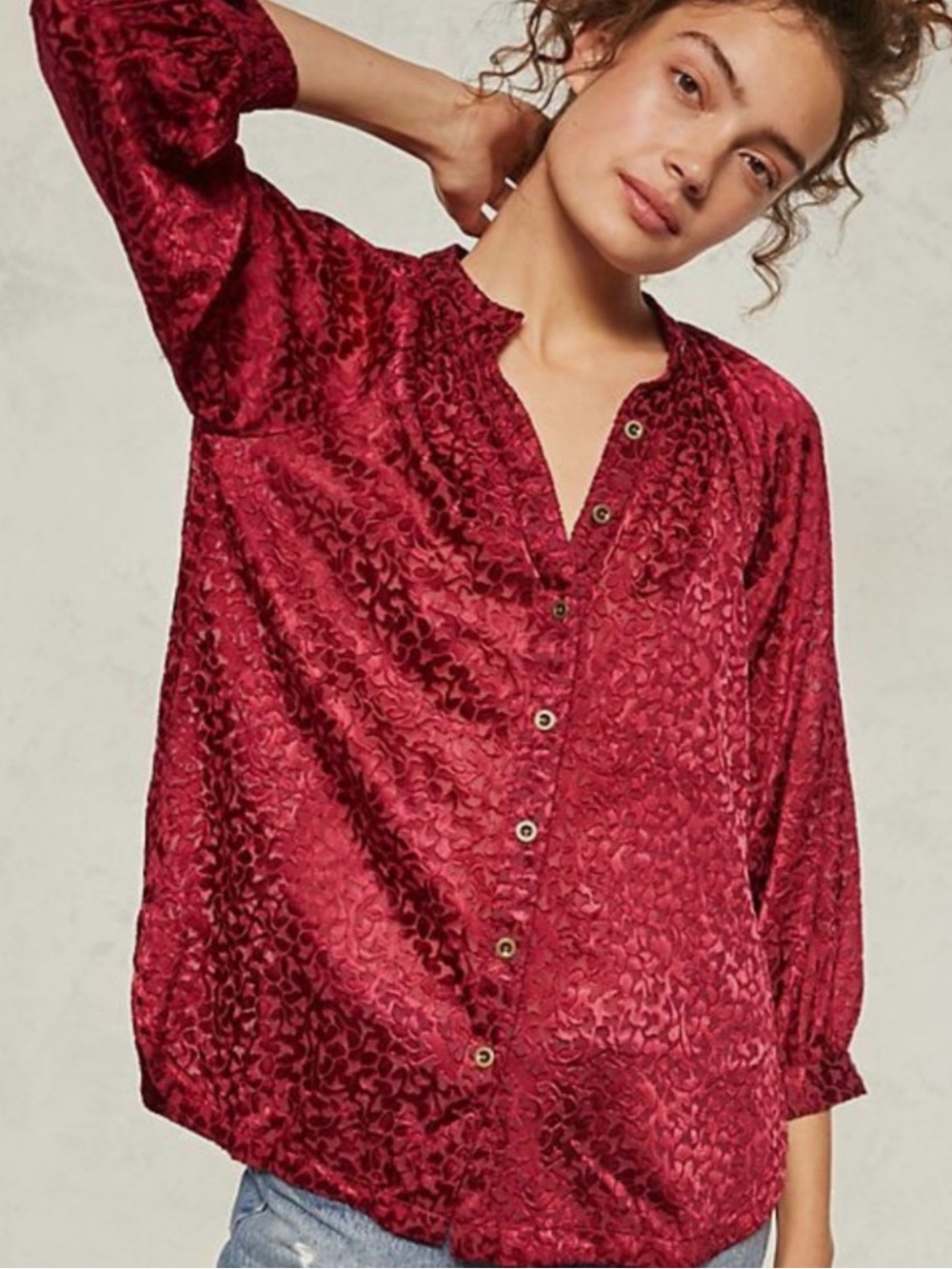 Anthropologie Susanna Burnout Velvet Buttondown Blouse - Small - EUC